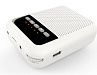 LAudio WS-VA030 Переносной громкоговоритель для гида.-1
