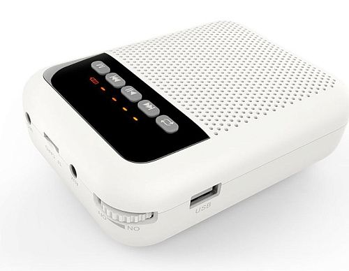 LAudio WS-VA030 Переносной громкоговоритель для гида.